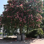 Premium Apartment-ostseepur-inklusive Parkplatz-wlan-strand-und Citynaehe