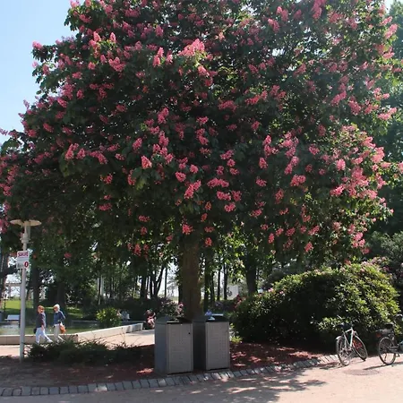 Premium-apartment-ostseepur-incl Parken-wlan-strand Und Citynähe