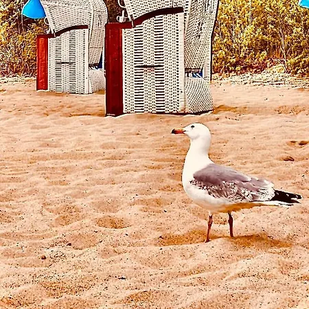 Apartment Premium-Apartment-Ostseepur-Incl Parken-Wlan-Strand Und Citynaehe