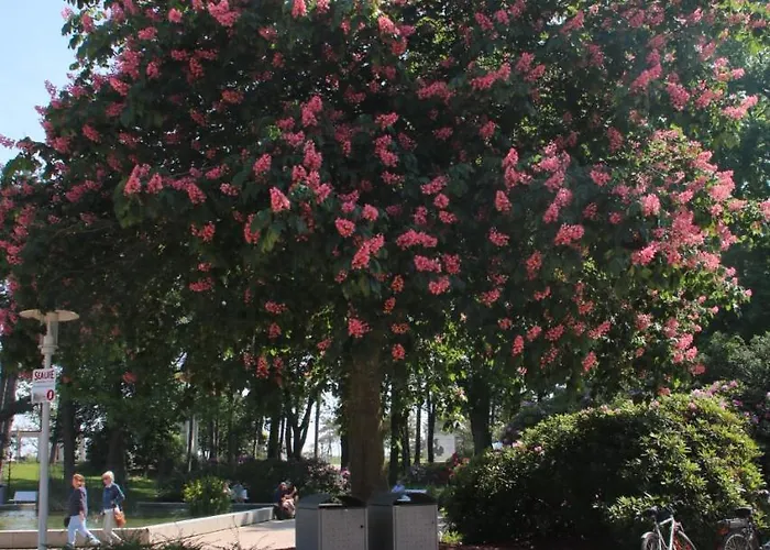 Premium Apartment-ostseepur-inklusive Parkplatz-wlan-strand-und Citynaehe