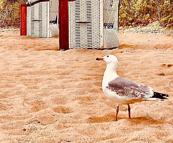 Διαμέρισμα Premium Apartment-ostseepur-inklusive Parkplatz-wlan-strand-und Citynaehe